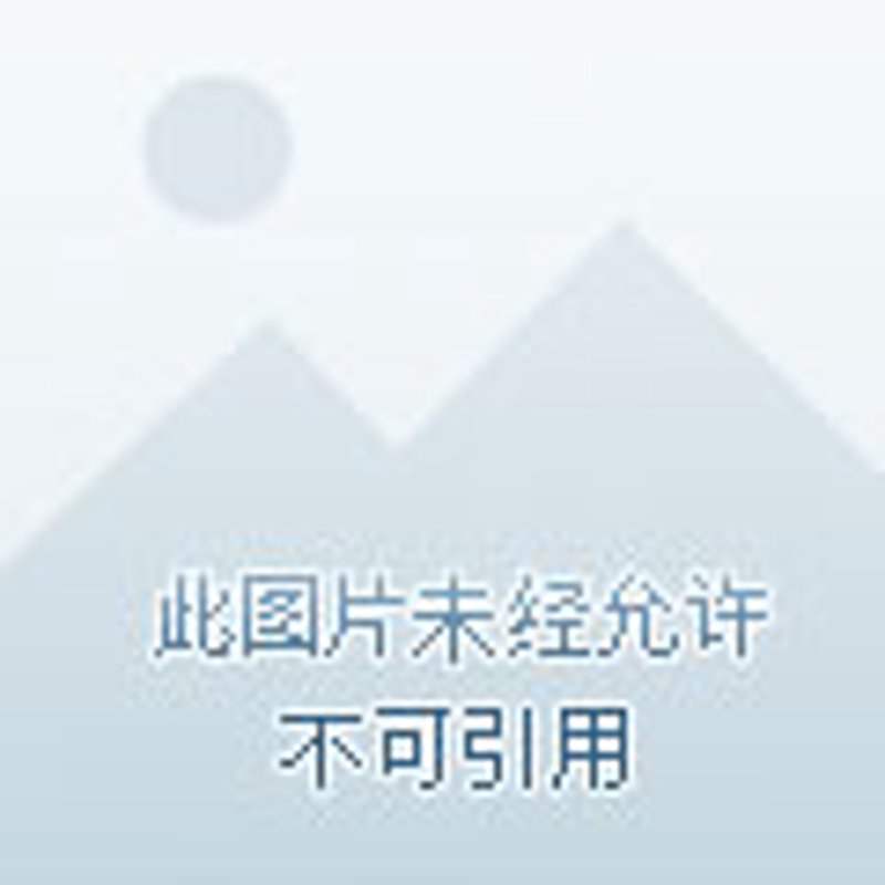 钻石镶嵌工艺深度剖析：爪镶、包镶与密钉镶的实战对比